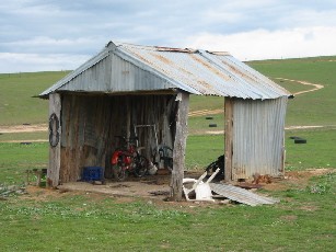The Shed!