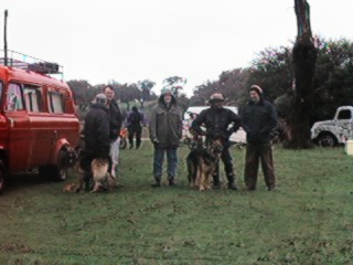 The Crowd